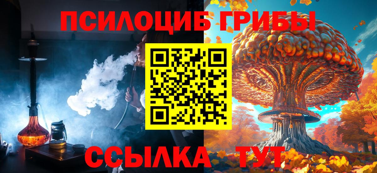 дарнет шоп  Вход с VPN  Чита  Галлюциногенные грибы Psilocybine cubensis 
